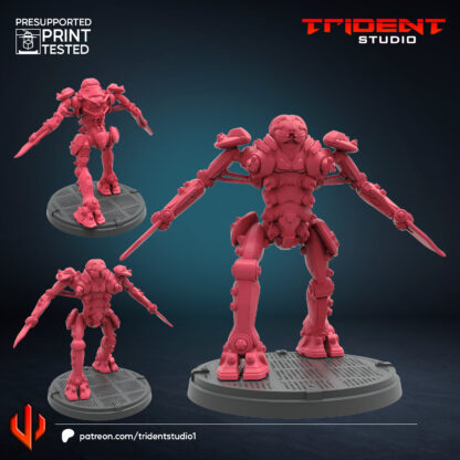 Meik de Trident Studio avec sa base 35mm