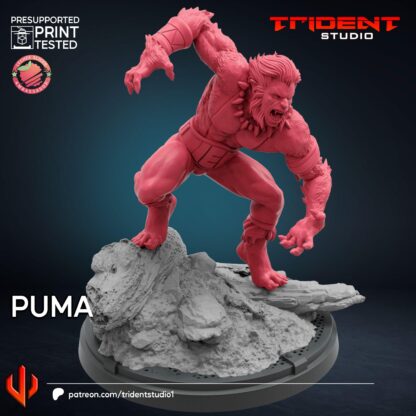 Puma de Trident Studio avec sa base 35mm