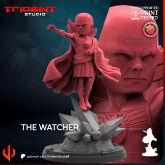 The Watcher